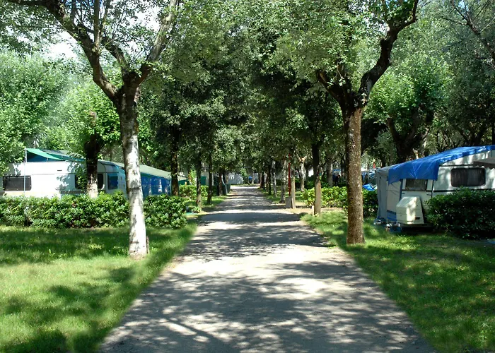 Parco vacanze Club Del Sole Family Collection 3*