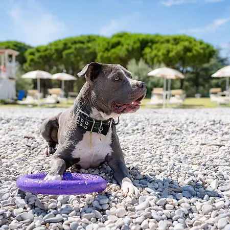 Parco vacanze Club Del Sole Family Collection