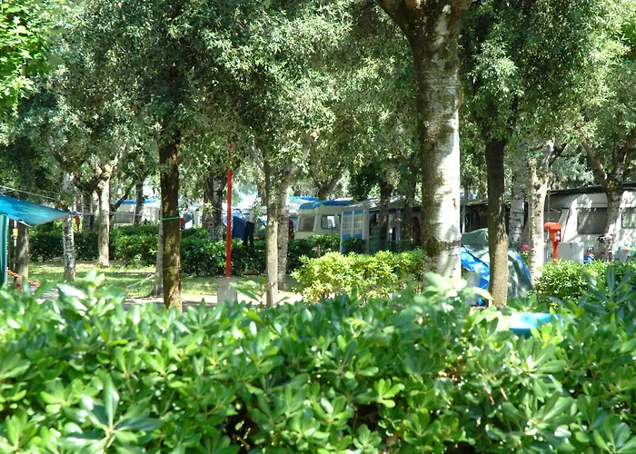 Üdülőpark Club Del Sole Family Collection 3*